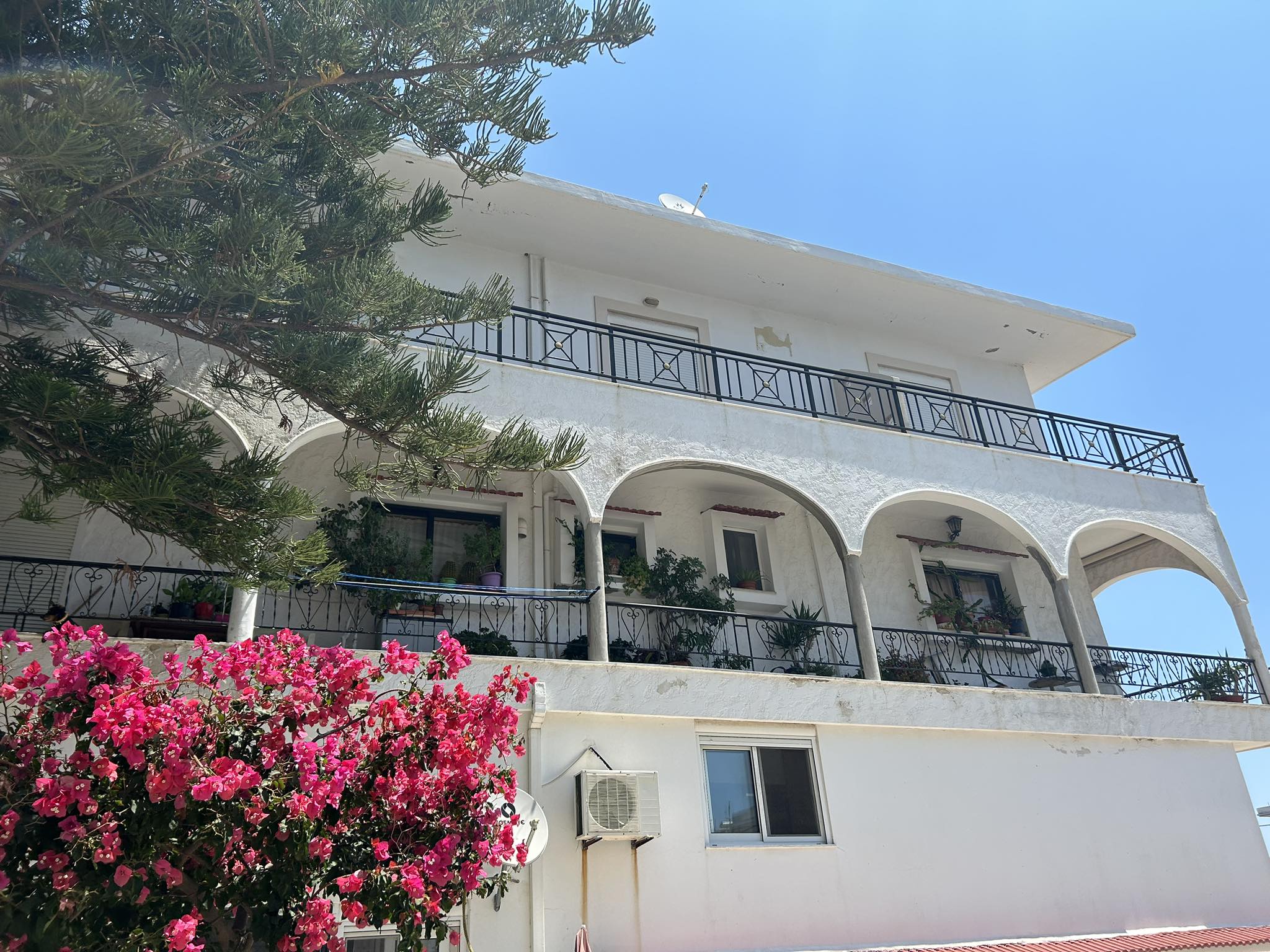 357051110 180442188119045 1963667834996491096 n