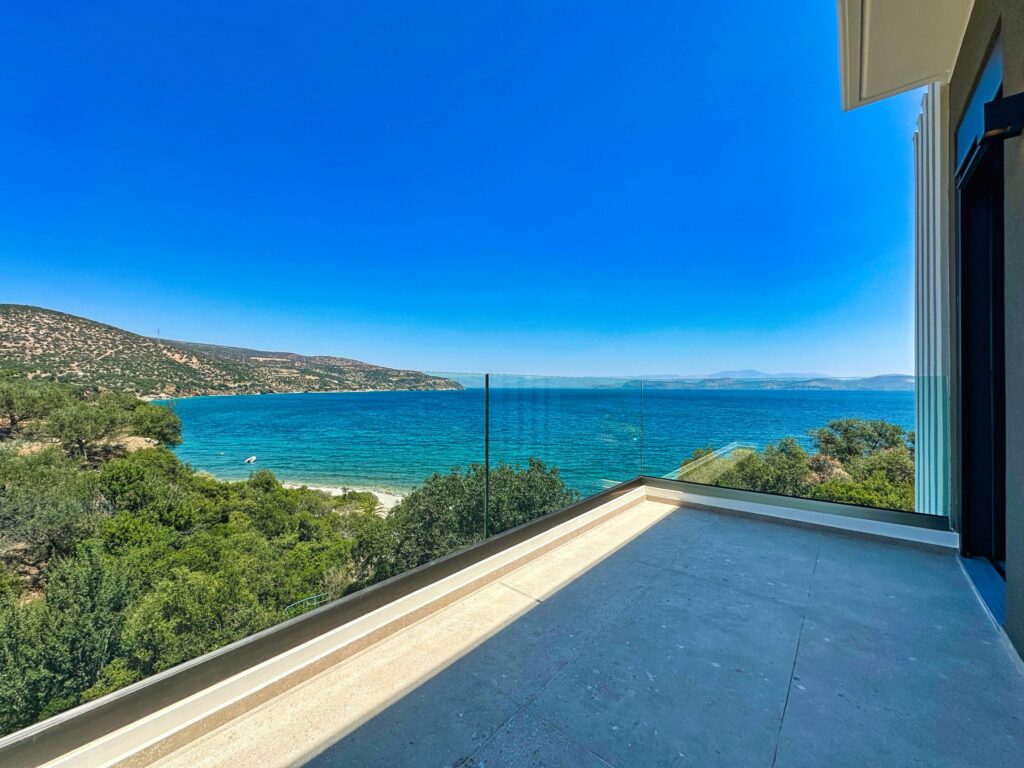 458201606 1137043298142874 1821853655703570549 N